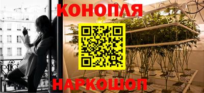mdma Сланцы
